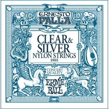 Ernie Ball 2403