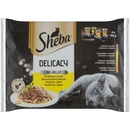 Sheba Delicacy drůbeží výběr 4pack 4 x 85 g