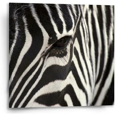 Sablio Obraz Detail zebra - 50x50 cm