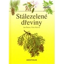 Stálezelené dřeviny