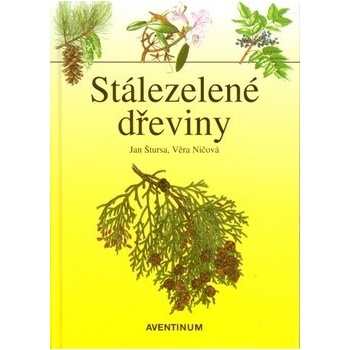 Stálezelené dřeviny