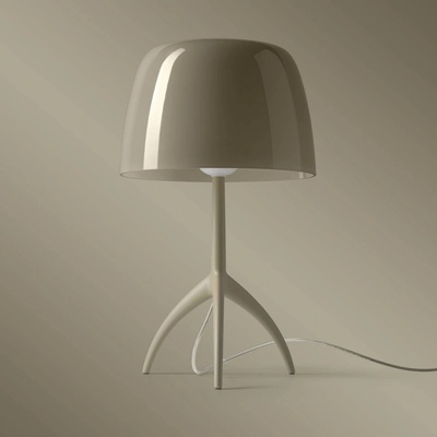 Foscarini FN026021E_26D