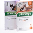Veterinárne prípravky Advantage spot-on pre malé mačky a králiky 40 mg 4 x 0,4 ml