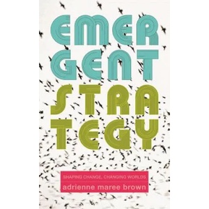 Emergent Strategy (ISBN: 9781849352604)
