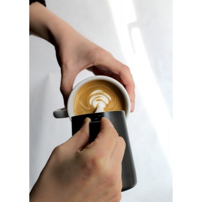 Dos Mundos Základy latte art pro domácí nadšence
