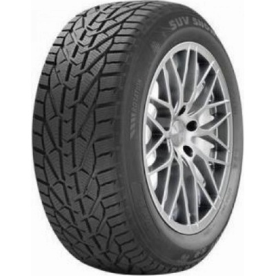 Riken Snow 225/60 R18 104H