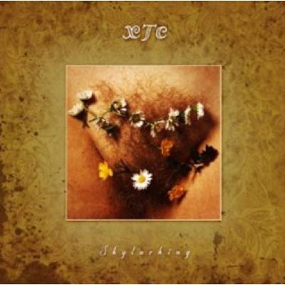XTC: SKYLARKING Remastered CD