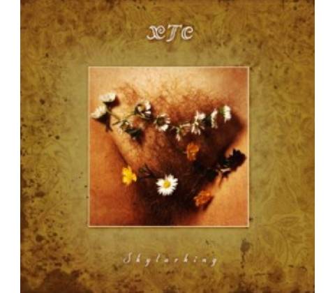 XTC: SKYLARKING Remastered CD