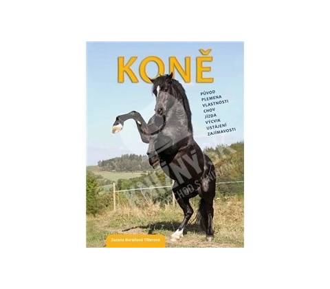Koně