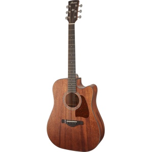 Ibanez AW1040CE-OPN
