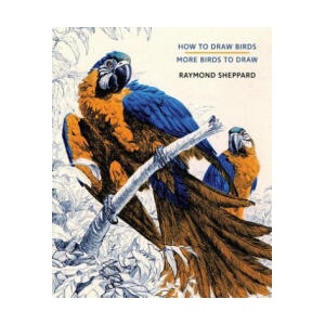 How to Draw Birds / More Birds to Draw | Raymond Sheppard (ISBN: 9781616464400)