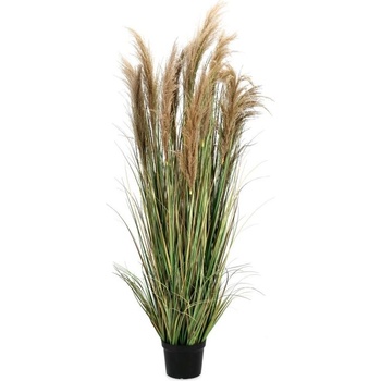 Bizzotto Растение Austorderia Pampas с ваза, височина 180 см (0173020)