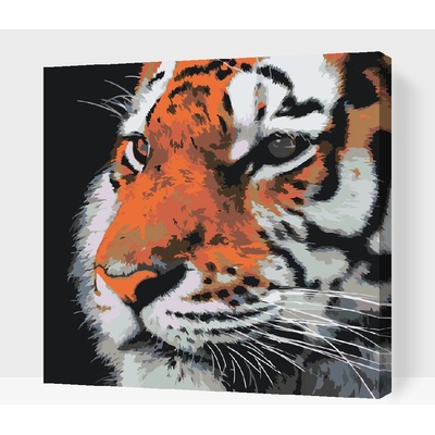 Vymalujsisam.cz Malování podle čísel Tygr