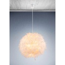 Globo 15057