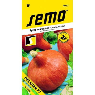 Tykev plazivá - Delician F1 (typ Hokkaido) 5s