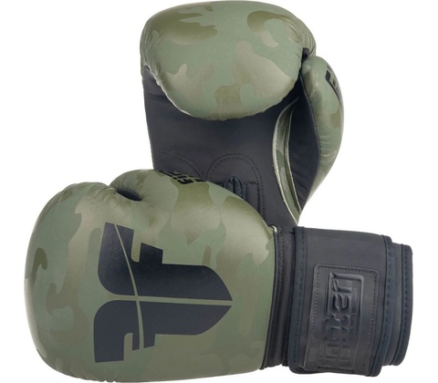 Fighter SIAM