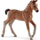 Schleich hříbě hanoverské