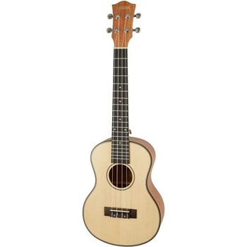 CASCHA HH 2154