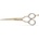 KIEPE Professional Luxury Premium Series 2451 - 6"/Gold