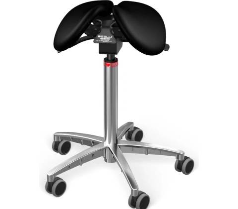Salli MultiAdjuster
