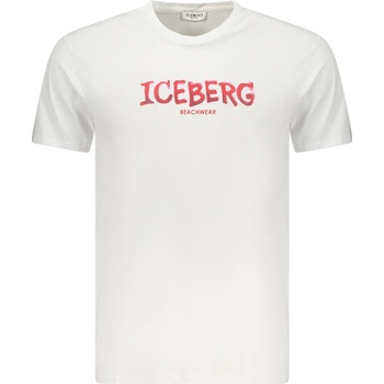 Iceberg biele