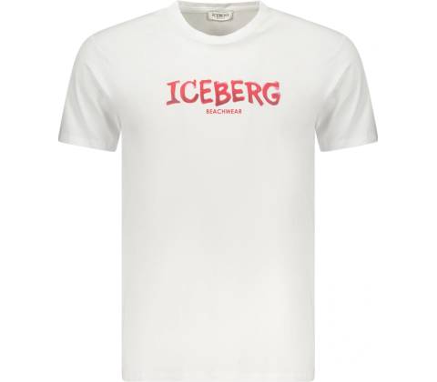 Iceberg biele
