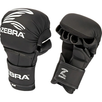 Zebra MMA SPARRING