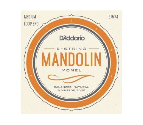 D'Addario EJM74