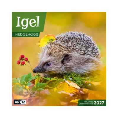 Igel 30x30 Art12 Ackermann Kunstverlag GmbH 2027