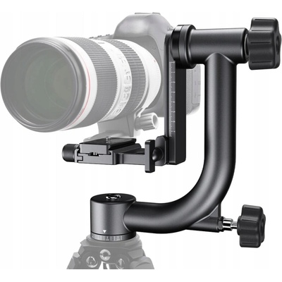 K&F Concept KF31