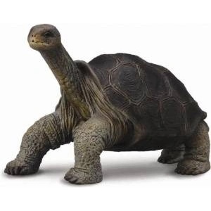 CollectA Pinta Island Collecta Zolw Figure (004-88619)