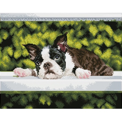 Diamond Dotz Мечтател - диамантен гоблен dq10.018