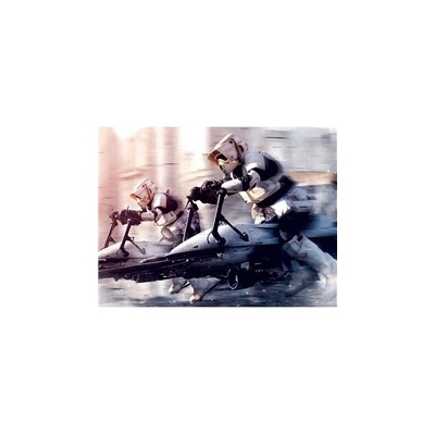Pyramid International Obraz Star Wars: Mandalorian - Troopers