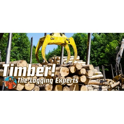 UniqueGames Timber! The Logging Experts (PC)