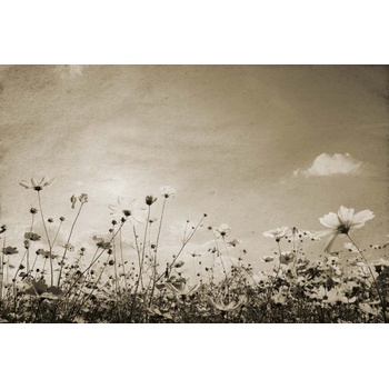 DIMEX ART s. r. o Флизелинов фототапет винтидж пейзаж 375 x 250 см