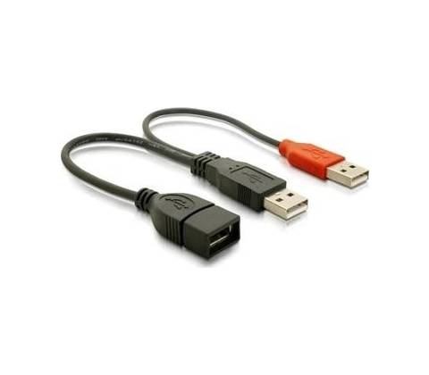 DeLock 65306