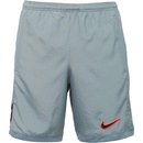 Nike ACADEMY