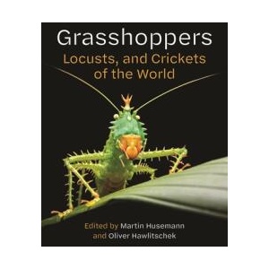 Grasshoppers, Locusts, and Crickets of the World (ISBN: 9780691281056)
