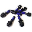 Šroub Ritchey do C220 představce 6 ks