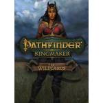 Deep Silver Pathfinder Kingmaker The Wildcards DLC (PC)