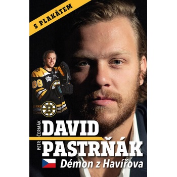 David Pastrňák