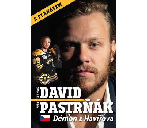 David Pastrňák