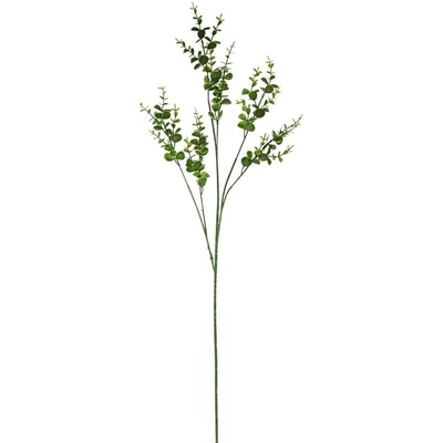 KONÁR EUCALYPTUS BABY BLUE ZELENÝ 76CM