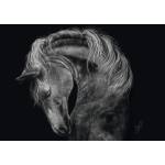 Schmidt Spiele - Puzzle Rader: Horse - 1 000 piese
