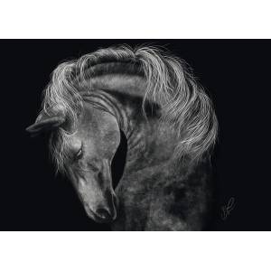 Schmidt Spiele - Puzzle Rader: Horse - 1 000 piese