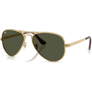 Ray-Ban RB3925 001/31 (RB3925 001/31)