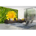 DIMEX ART Самозалепваща се флизелинова фототапета пролетно глухарче 375 x 250 см
