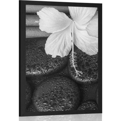Plakát wellness zátiší v černobílém provedení - 20x30 white
