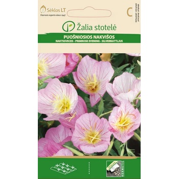 Image 1 of Seklos Вечерна Иглика Розова Oenothera speciosa