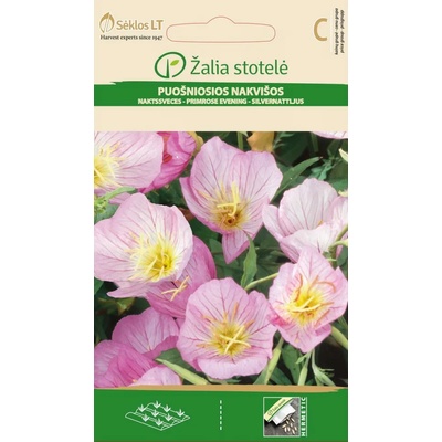 Seklos Вечерна Иглика Розова Oenothera speciosa